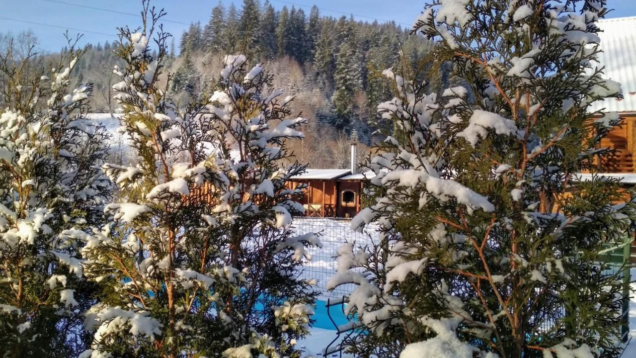 Гостевой дом Mini Hotel Zakrut Татаров-12